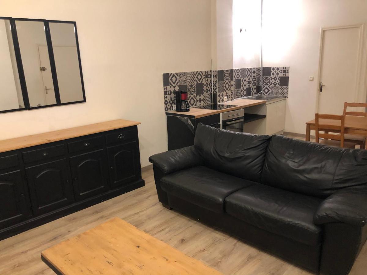 Appartement Et Son Jardin A Lille Fac De Droit Bagian luar foto