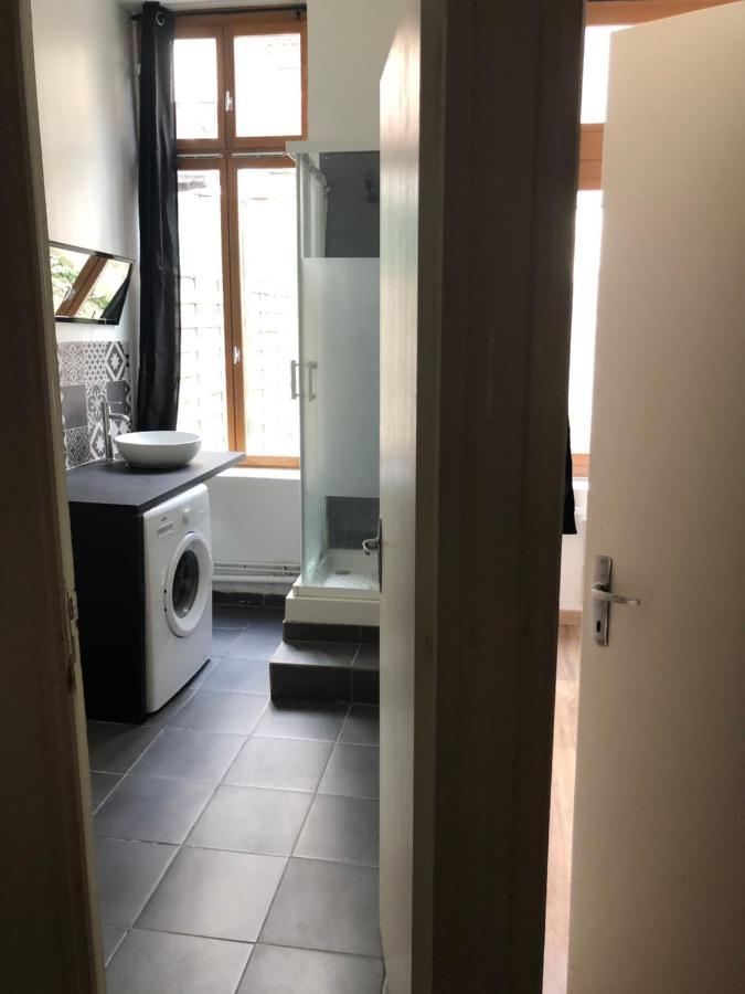Appartement Et Son Jardin A Lille Fac De Droit Bagian luar foto
